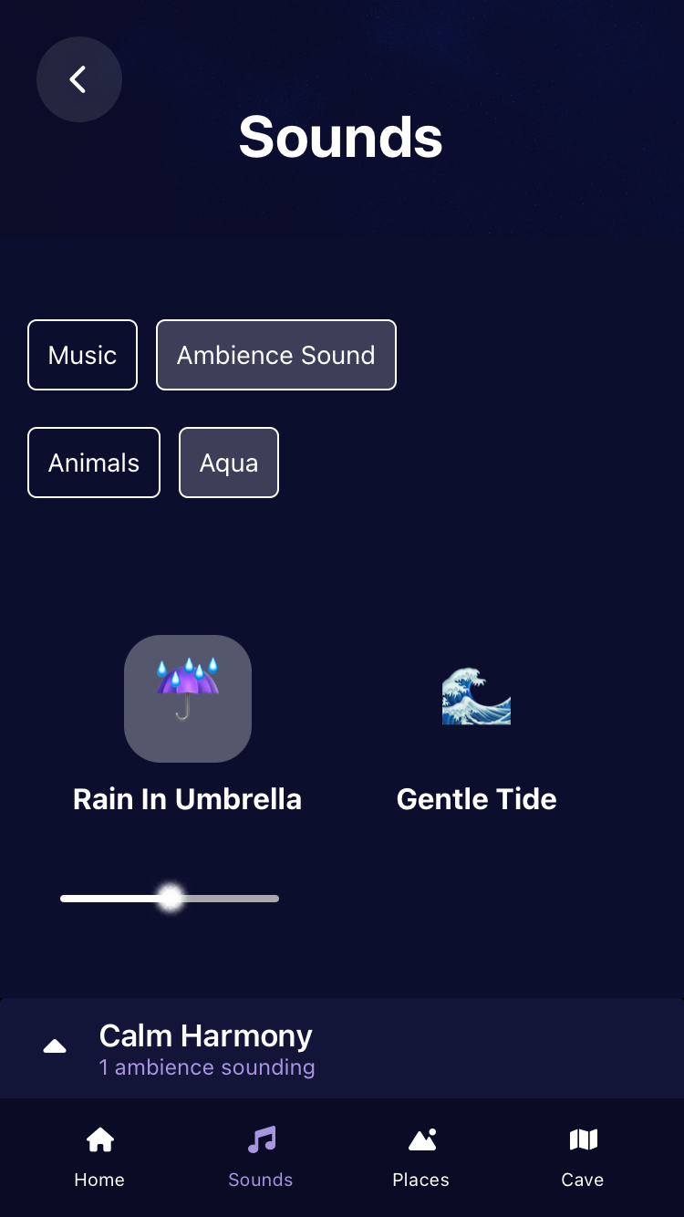 Ambience